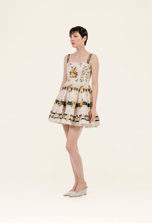Maria-Lima Valle Mini Dress-20840-3.jpg