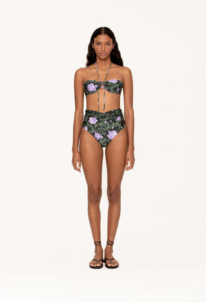 Bronce-Peonia-Ocaso-10415