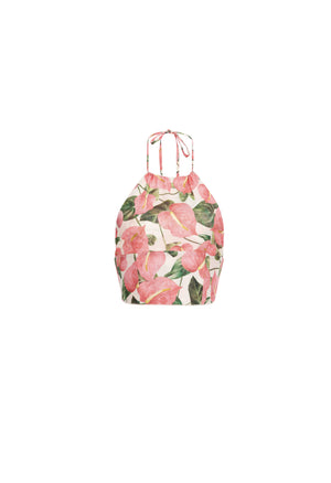 Castana-Anturios-Ivory-Cropped-Halter-Top-8381-HOVER