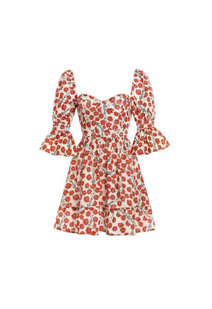 Cedro-Bermelo-Ivory-Mini-Dress-7447-HOVER