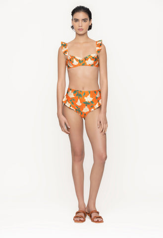 Curandera Collection