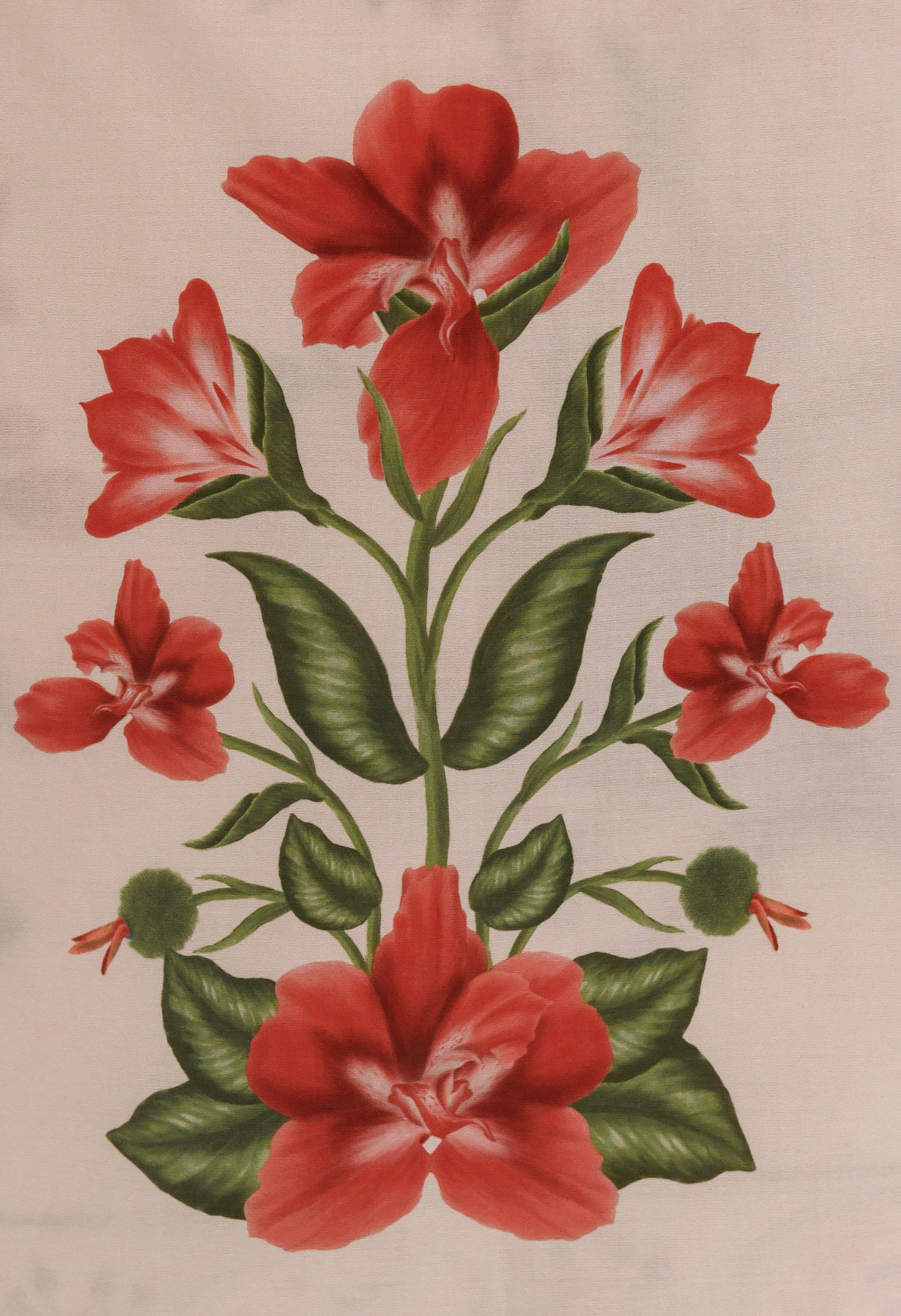 Secreto-Emelina-Canna-Pareo-19249-8.jpg