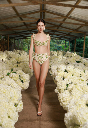 Secreto-Jengibre-Orquidea-Bikini-bottom-19263-2.jpg
