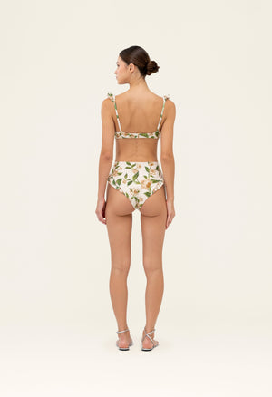 Secreto-Jengibre-Orquidea-Bikini-bottom-19263-4.jpg