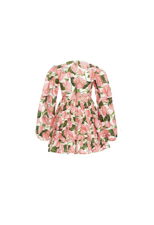 Avena-Anturios-Ivory-Mini-Dress-8376