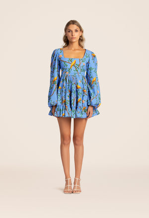 Avena-Canarios-Blue-Mini-Dress-8371