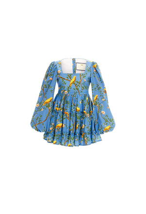 Avena-Canarios-Blue-Mini-Dress-8371-HOVER