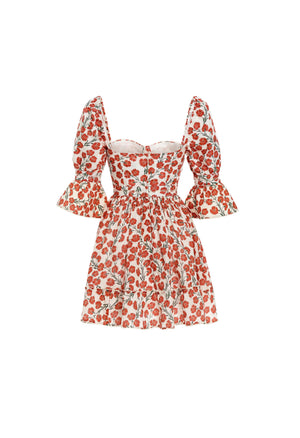 Cedro-Bermelo-Ivory-Mini-Dress-7447