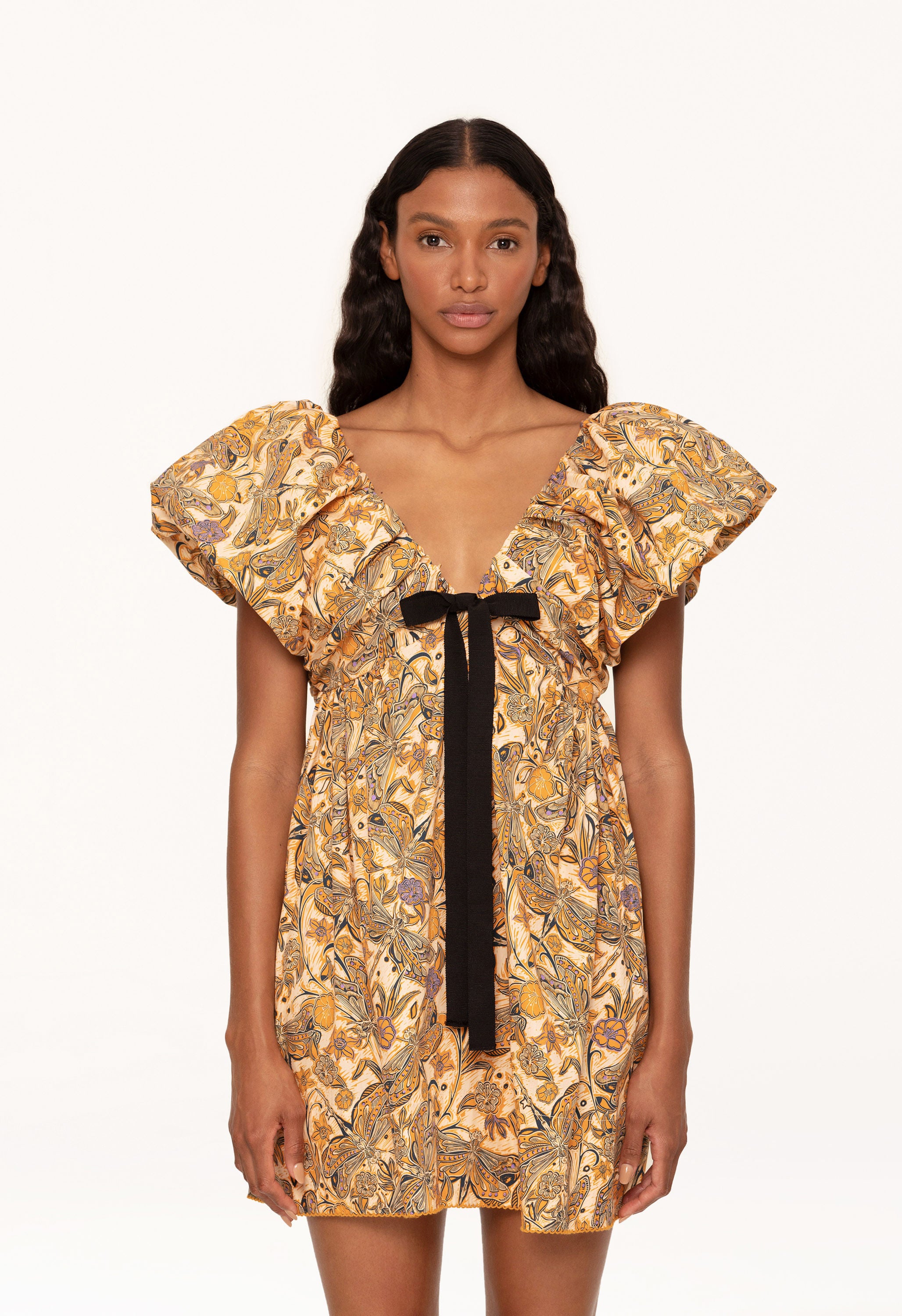 Horizonte-Libelulas-Dia-10413