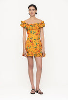 Jardin-Frutal-Cotton-Poplin-Mini-Dress-11223-1