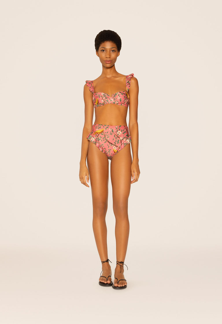 Jengibre-Canarios-Pink-Bikini-Bottom-8367 - 1