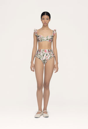 Jengibre-Cultivo-Bikini-Bottom-14068