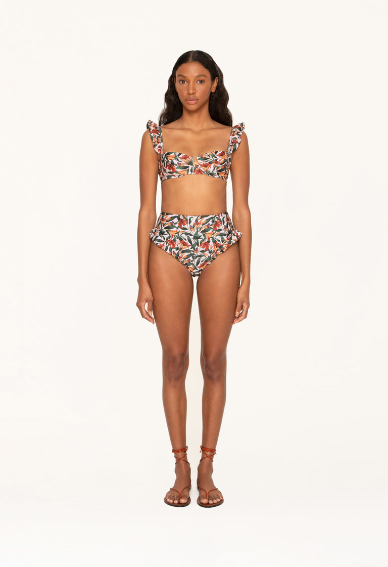 Jengibre-Monarca-Crema-Bikini-Bottom-10357 - 1