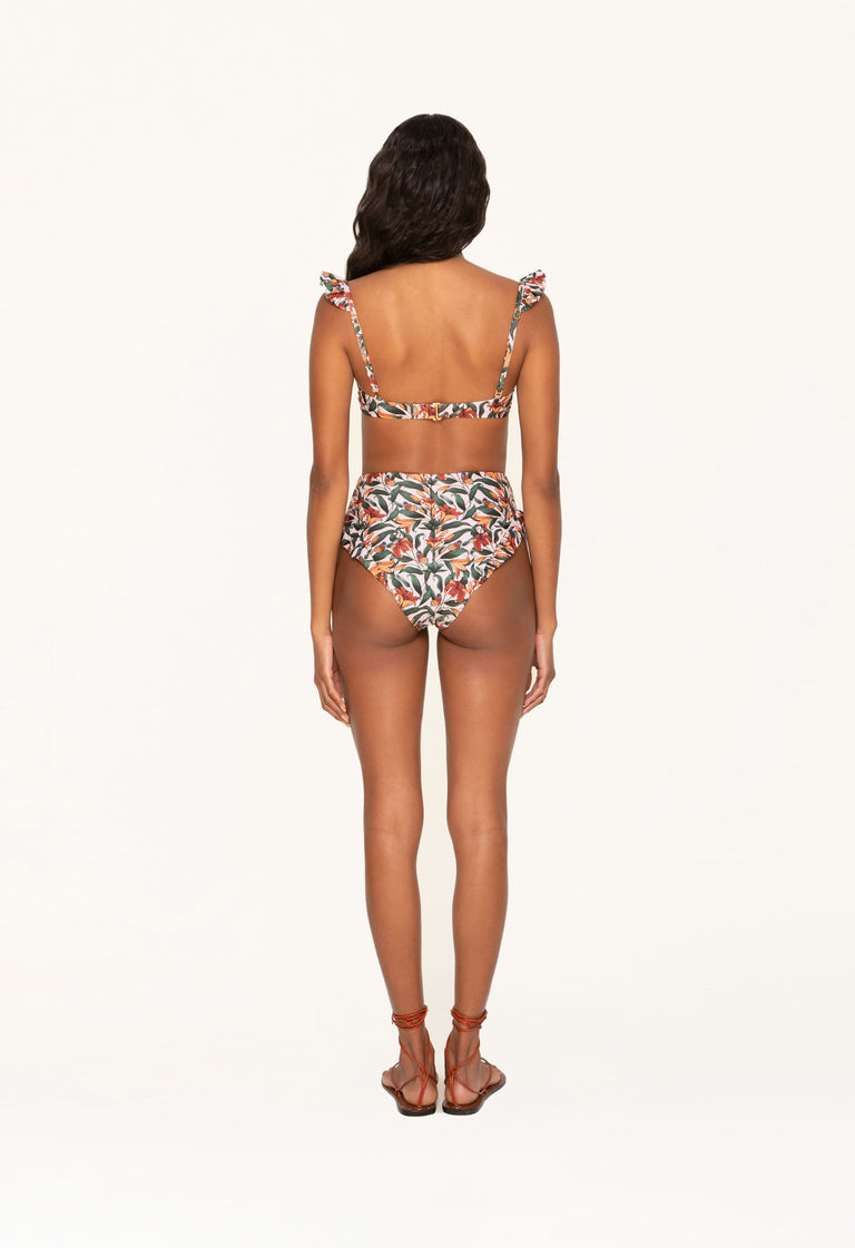 Jengibre-Monarca-Crema-Bikini-Bottom-10357 - 2