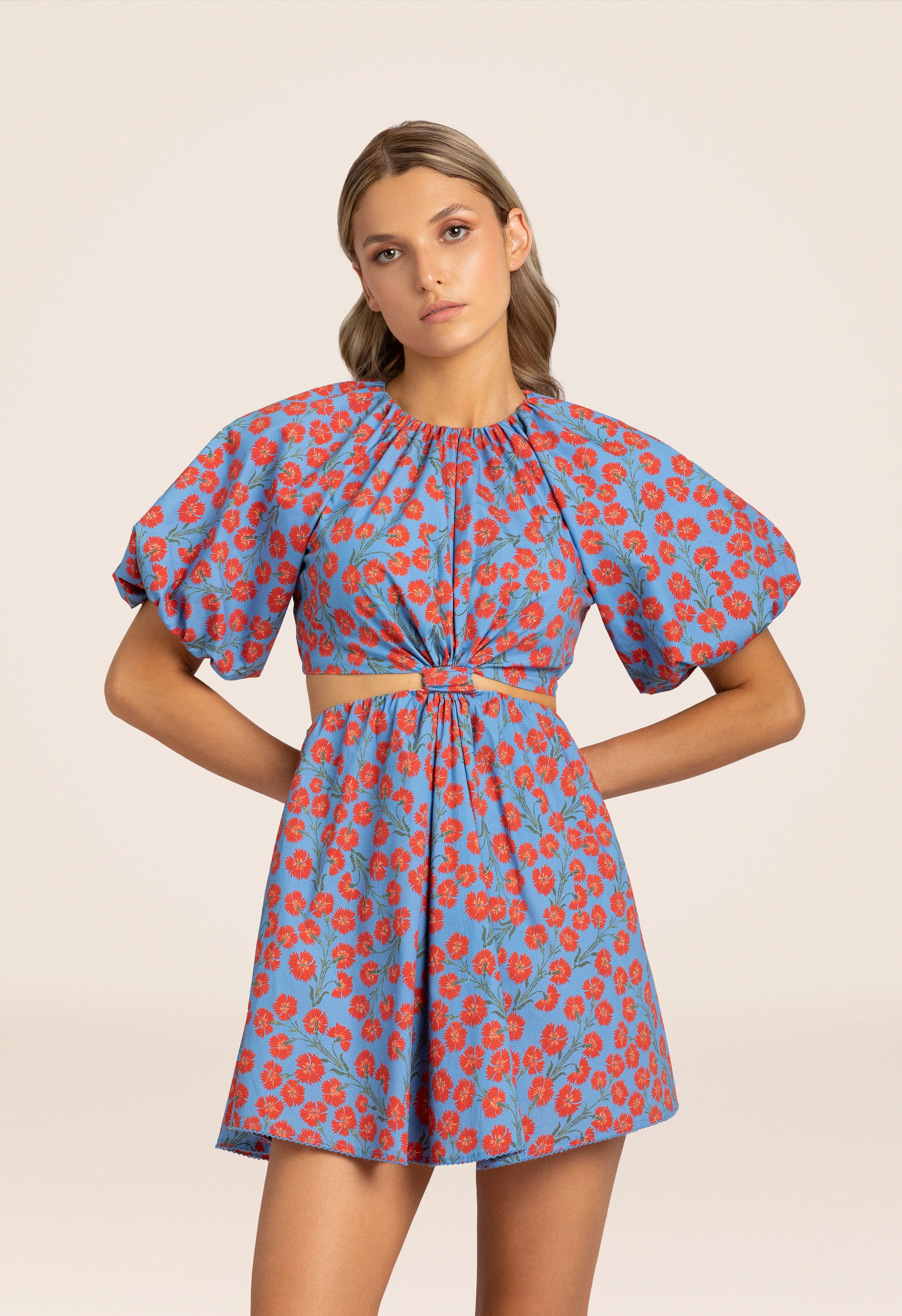 Laurel-Bermelo-Blue-Mini-Dress-7453