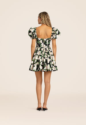 Manzanilla-Anturios-Black-Mini-Dress-8390