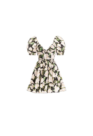 Manzanilla-Anturios-Black-Mini-Dress-8390-HOVER