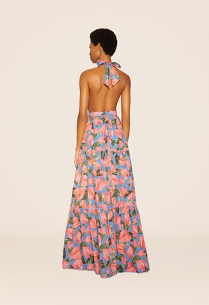 Naranja-Anturios-Blue-Maxi-Dress-8379