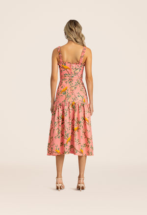 Nispero-Canarios-Pink-Midi-Dress-8365